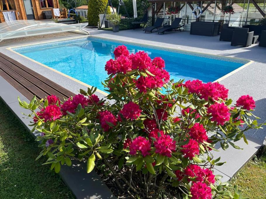 Chalet 2 Personnes Avec Jacuzzi Et Piscine Saisonniere Partagee Corcieux Extérieur photo